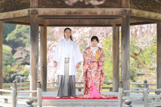 Atelier lotus_さくら成田山公園