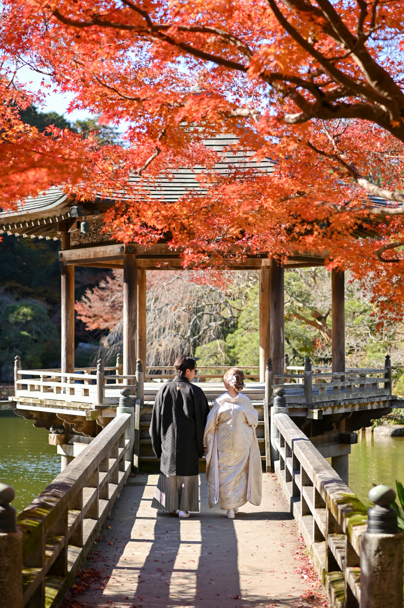 Atelier lotus_11月～12月成田山公園