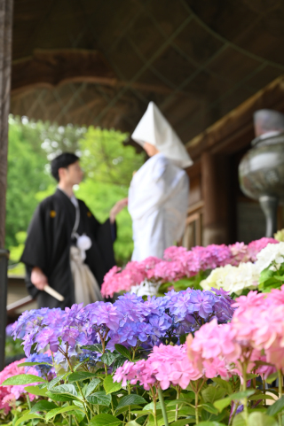 Atelier lotus_６月あじさい東勝寺