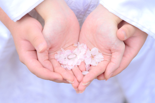 Atelier lotus_さくら東勝寺