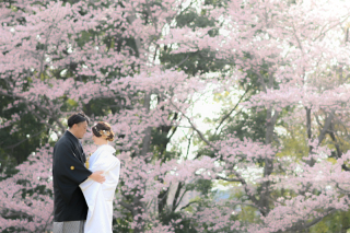 Atelier lotus_さくら旧堀田邸