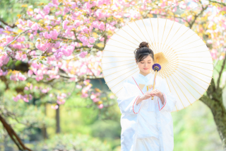 Atelier lotus_さくら成田山公園