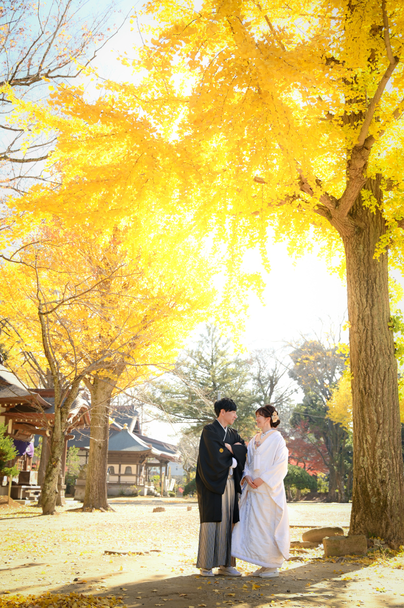 11/15締切11/16~12/10撮影|映え重視の方|和装ロケ1カ所|コミコミ価格¥132,000|特典利用で衣裳選び放題!