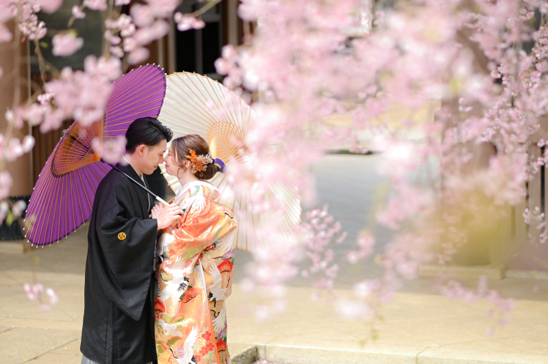 ✿さくら春の超早割|3/15~4/15撮影|和装1着ロケーション1カ所|衣裳選び放題・美肌50%OFF