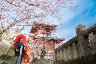 ✿さくら春の超早割｜3/15～4/15撮影｜和装1着ロケーション1カ所｜衣裳選び放題・美肌50％OFF