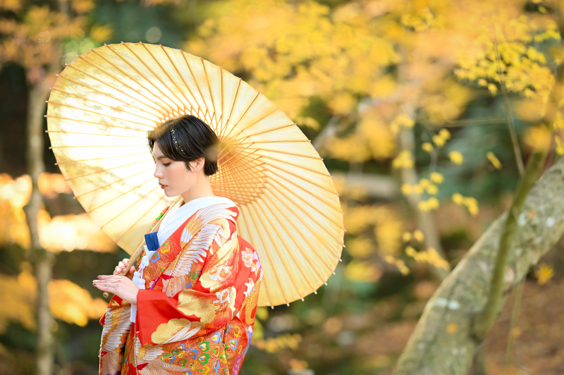 11/15締切11/16~12/10撮影|映え重視の方|和装ロケ1カ所|コミコミ価格¥132,000|特典利用で衣裳選び放題!