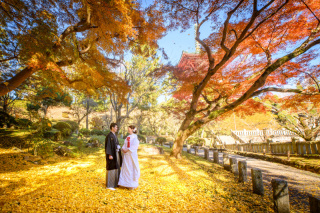 11/16～12/10撮影｜映え重視の方｜大満足のロケ2カ所｜成田山公園＋旧堀田邸｜全データ付・アップグレードなし