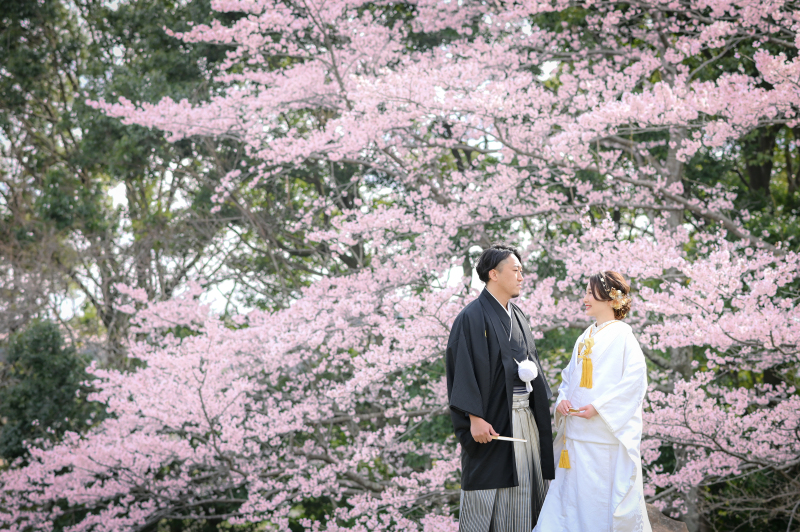 ✿さくら春の超早割|3/15~4/15撮影|和装1着ロケーション1カ所|衣裳選び放題・美肌50%OFF