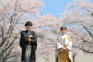 3月15日~4月15日撮影ソメイヨシノ・ぼたん桜・枝垂れ桜の頃