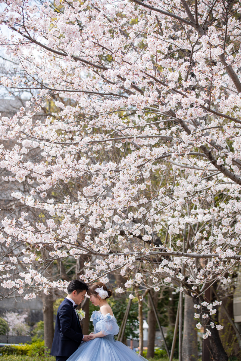 桜のやさしい色味はドレスとの相性ばつぐん