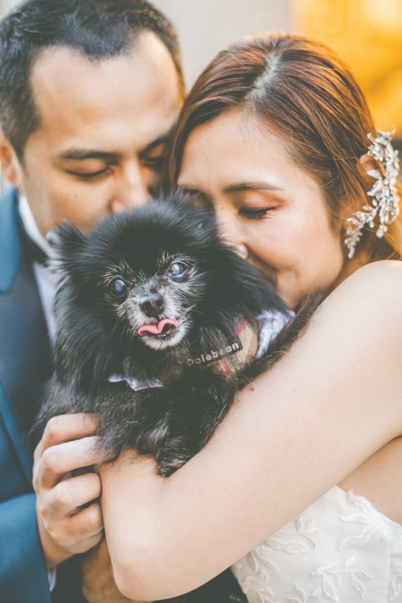 KIYOKO HATA WEDDINGS 青山_ペットと一緒に撮影できる