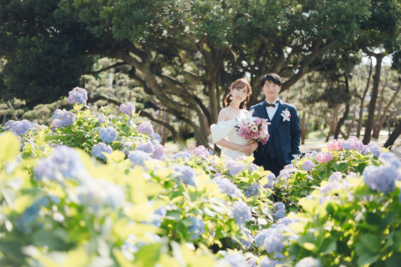 紫陽花と城ヶ島でフォト&ムービー撮影