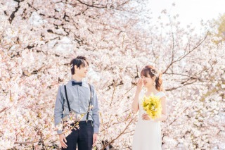 桜の中でフォトウェディング