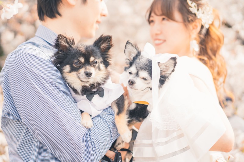 愛犬も一緒に