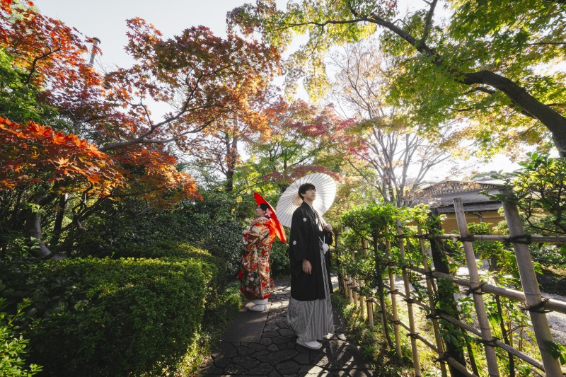 紅葉シーズンの日本庭園