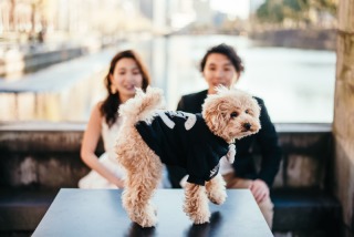丸の内でペットとフォトウェディング