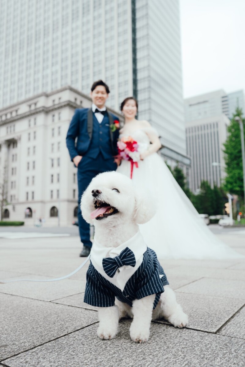 ペットが主役の1枚も