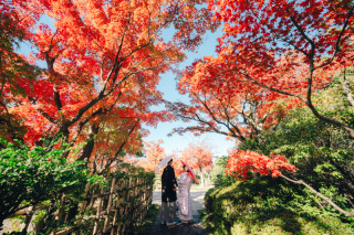 Circles Wedding　Photo＆Movie