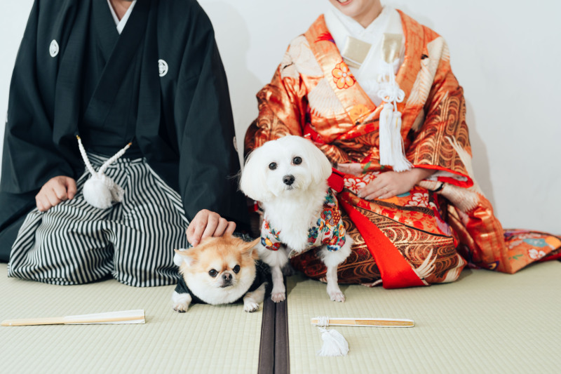 Circles Wedding Photo&Movie_ペットと一緒に撮影できる