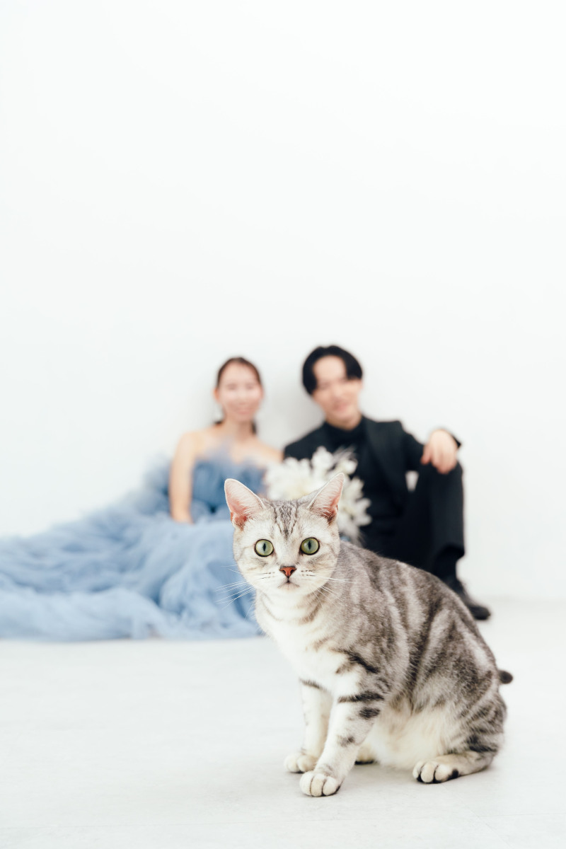 Circles Wedding Photo&Movie_ペットと一緒に撮影できる