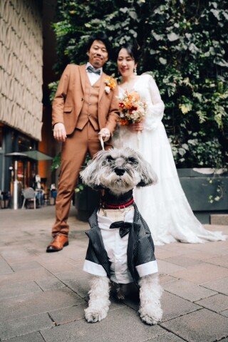 Circles Wedding　Photo＆Movie_ペットと丸の内　オープニングムービー