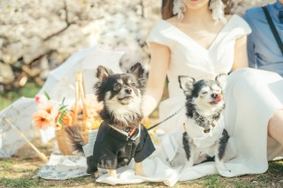 Circles Wedding　Photo＆Movie_公園【水元公園・昭和記念公園】