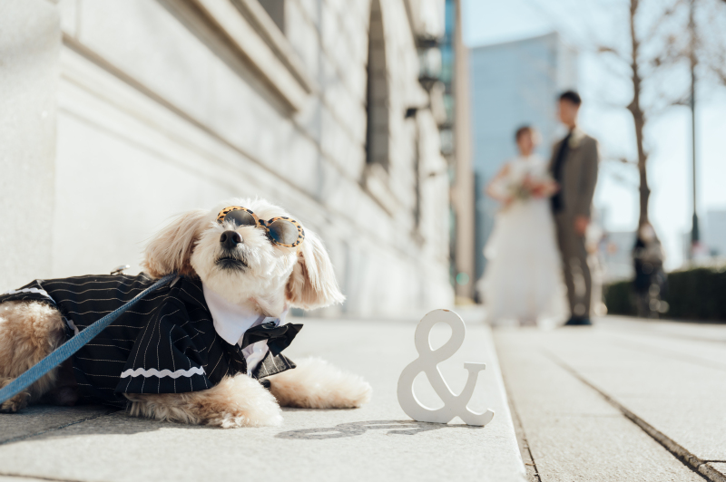 Circles Wedding Photo&Movie_ペットと一緒に撮影できる