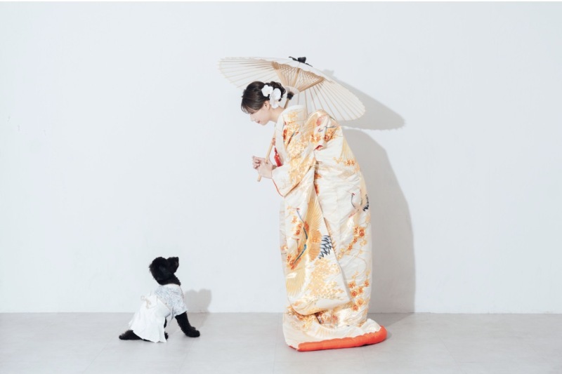 ペットOK【3月ご成約限定⭐︎4万円割引】和装＆洋装スタジオ撮影プラン　全データ３週間納品