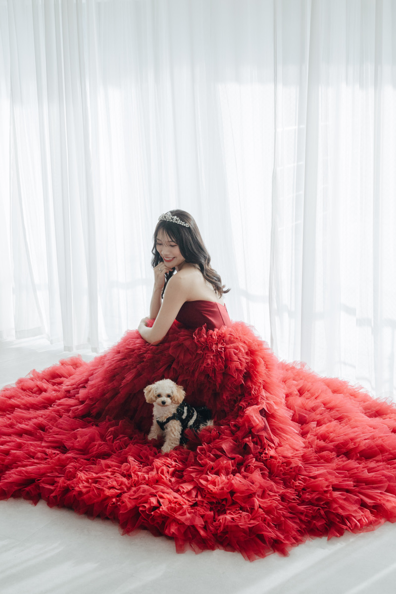 ペットOK【11月ご成約限定⭐︎4万円割引】和装＆洋装スタジオ撮影プラン　全データ３週間納品