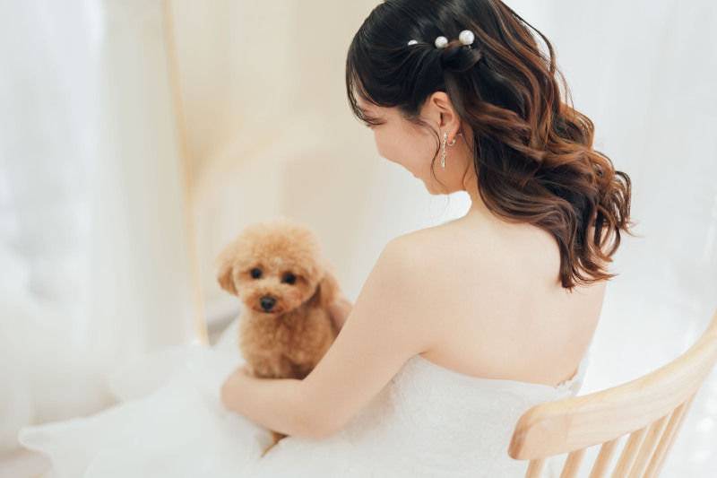 【スタジオペットPhoto撮影Plan(洋装)】衣装レンタル込み・撮影全データ3週間で納品・スマホ動画撮影・ヘアチェンジ付