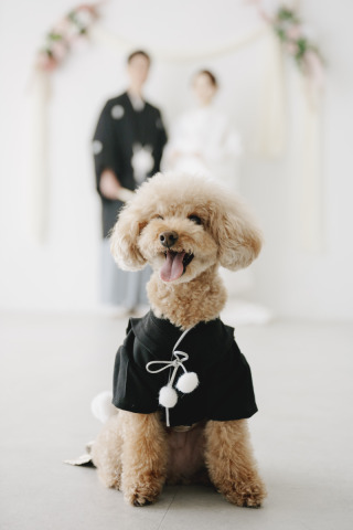 Circles Wedding　Photo＆Movie