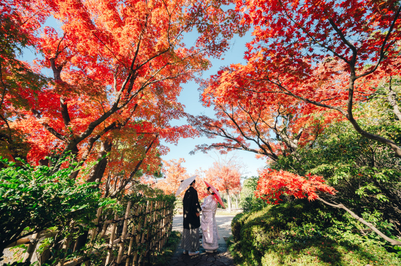 紅葉時期OK【10月ご成約限定 3万円割引】和装⭐︎庭園撮影Plan 庭園手配・全データ3週間納品・スマホ動画撮影