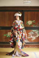 色打掛「向鶴束熨斗文」夫婦円満の吉祥文様“向かい鶴”