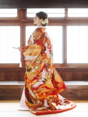 色打掛「野分」優雅に羽ばたく鶴