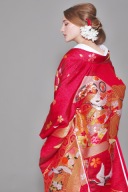 ★プラン内★色打掛「吉祥大熨斗紋」大人の魅力漂う熨斗柄