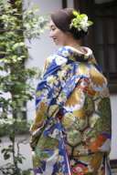 色打掛「千代見草に鶴」松と菊、気品と可愛らしさを兼備えた一着