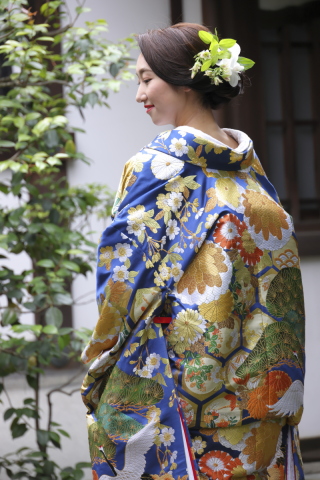 色打掛「千代見草に鶴」松と菊、気品と可愛らしさを兼備えた一着