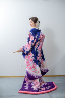 ★プラン内★色打掛「むらさきmurasaki」華やかな桜柄