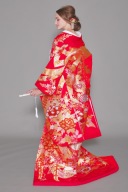 色打掛「熨斗満豊花車文」熨斗柄が美しい色打掛