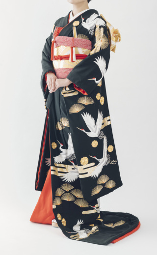 引き振袖「鶴に霞金松梅」