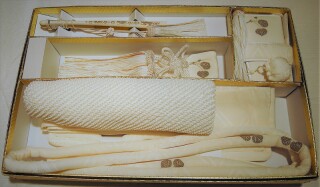 五点セット（双葉葵 白金）