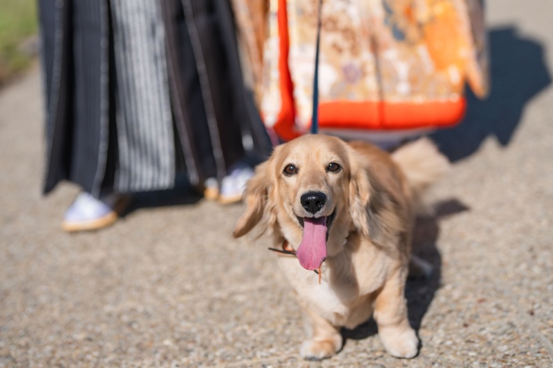 可愛い仕草をたくさん残します