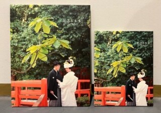 アルバム晴50ページ