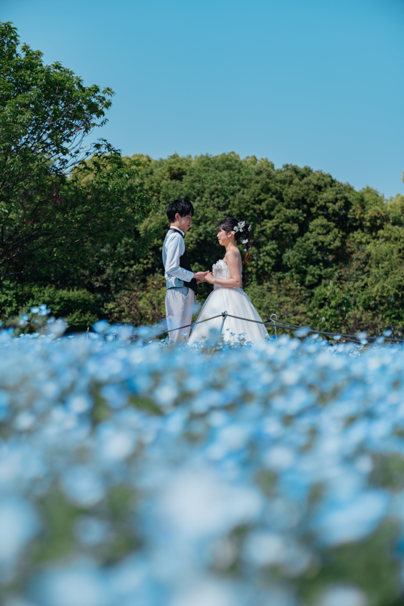 ネモフィラに囲まれて