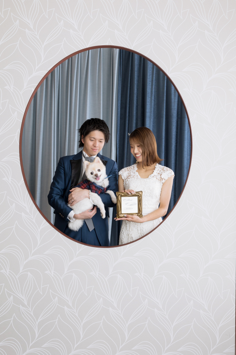 わんちゃん再登場