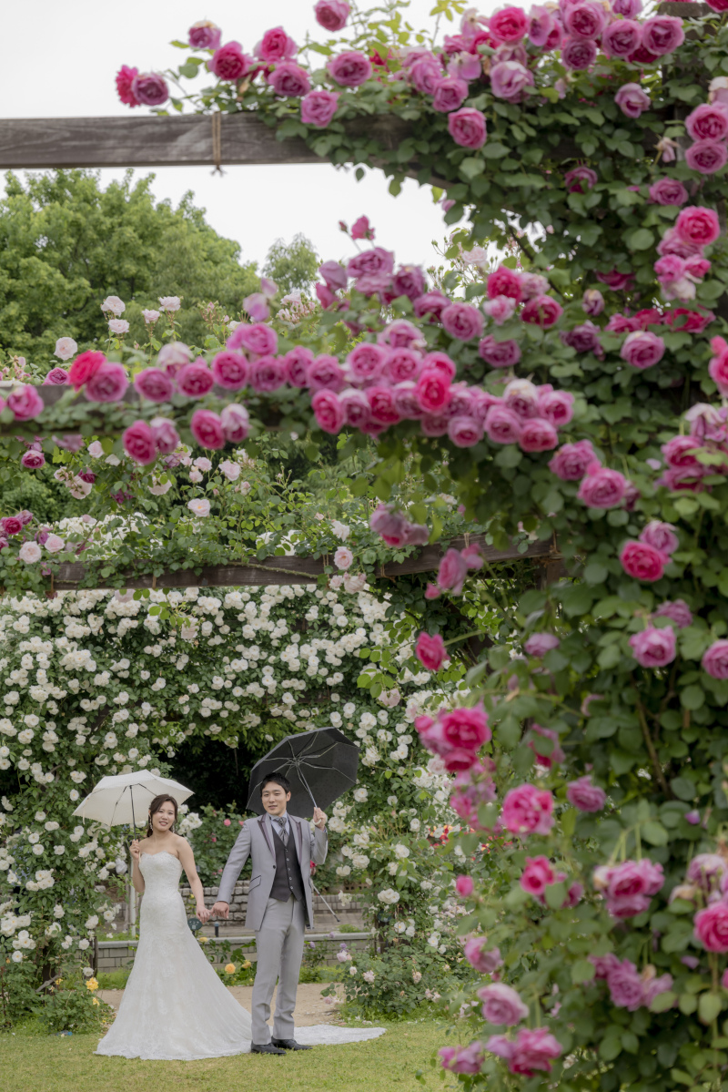 突然のにわか雨