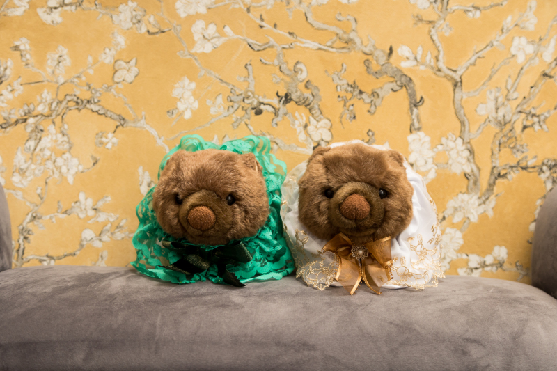 ウォンバットちゃんたちのショットも