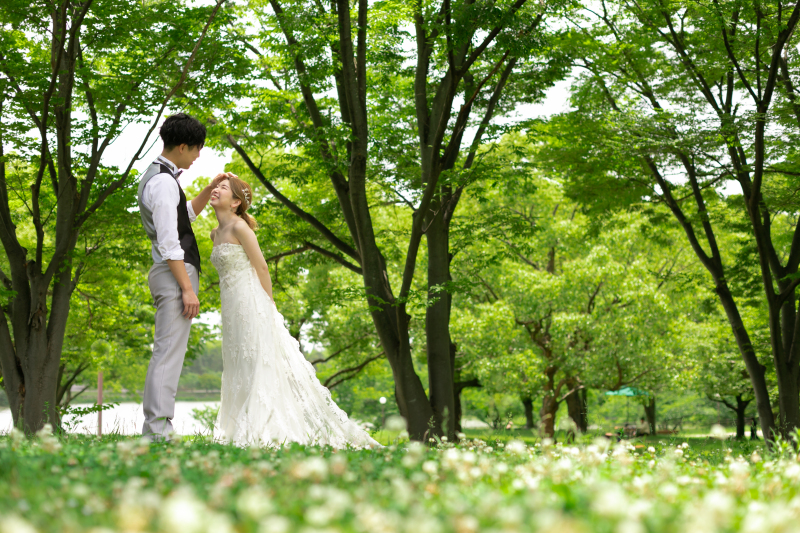 シロツメクサが咲く中で