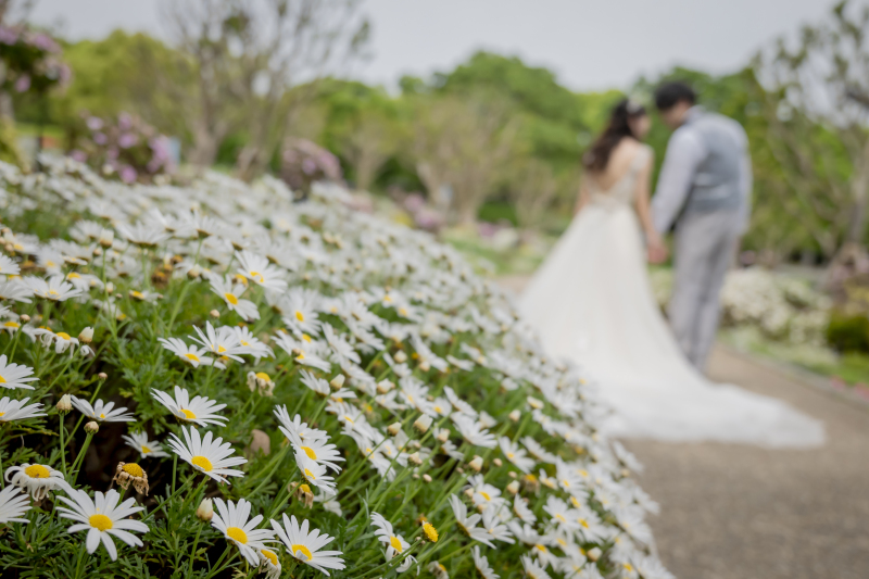 カモミールのお花から隠し撮り♪