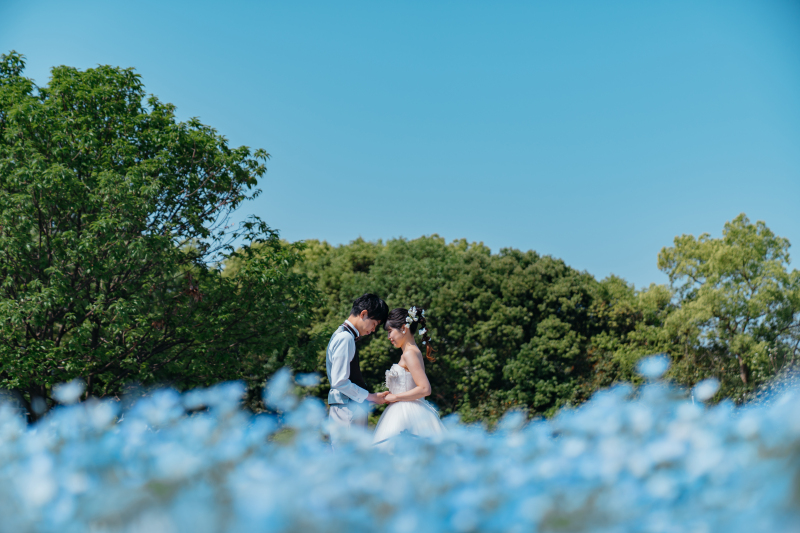 ネモフィラのお花畑でロケーション撮影♪